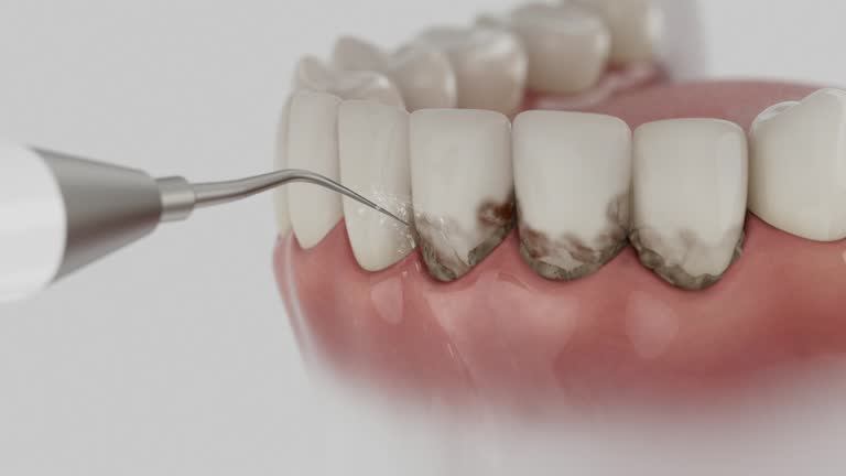 Reliable Dental contractor in New Johnsonville, TN by Dentist Open Now
